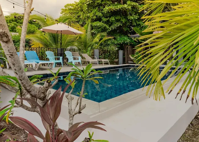 Rooms & Pool Macaws
